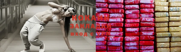 крисы Аркадак