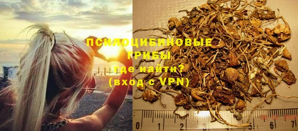 тгк Армянск
