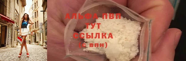 ПСИЛОЦИБИНОВЫЕ ГРИБЫ Богданович