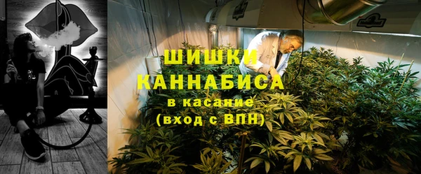ПСИЛОЦИБИНОВЫЕ ГРИБЫ Богданович