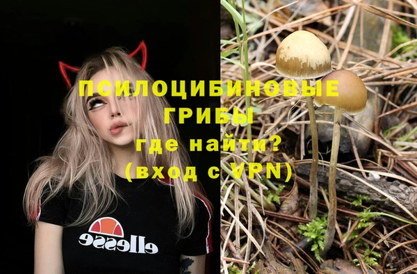 тгк Армянск