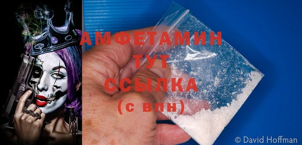ПСИЛОЦИБИНОВЫЕ ГРИБЫ Богданович