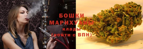 крисы Аркадак