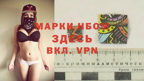 дживик Богородицк