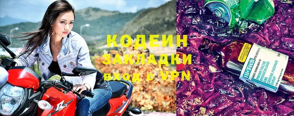 ПСИЛОЦИБИНОВЫЕ ГРИБЫ Богданович